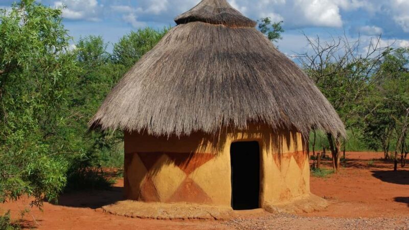 Half Day Tala Game Reserve + Phezulu Safari Park from Durban - Authentic Encounters: What Reviewers Have Noted