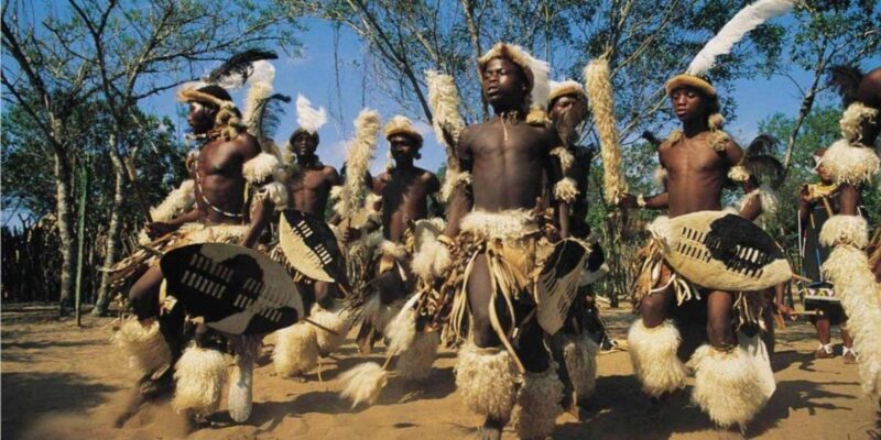 Half Day Tala Game Reserve + Phezulu Safari Park from Durban - Who Will Love This Tour?