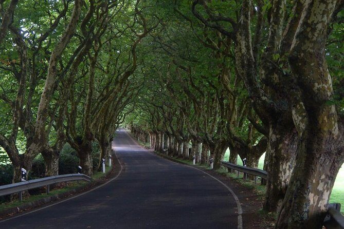 Half Day Terceira Island Tour by 4x4 - The Experience: What the Tour Looks Like