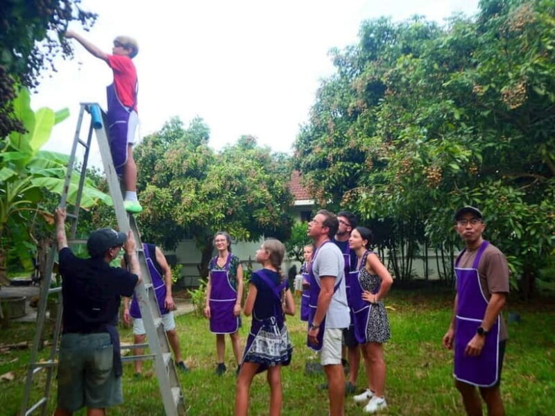 Half-Day Thai Cooking Class on a Local Farm Near Chiang Mai - Key Points