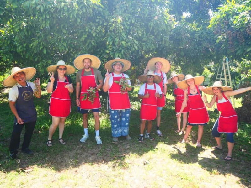 Half-Day Thai Cooking Class on a Local Farm Near Chiang Mai - Introduction: What to Expect from This Thai Cooking Experience