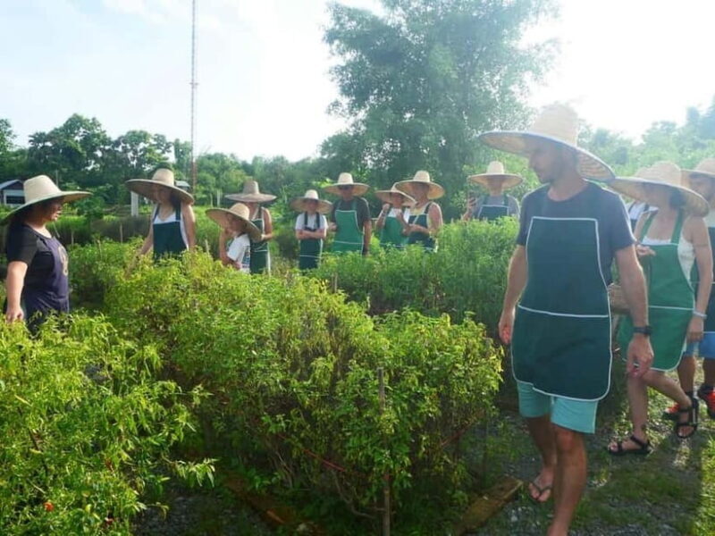 Half-Day Thai Cooking Class on a Local Farm Near Chiang Mai - Practical Details: Transportation, Timing, and Group Size
