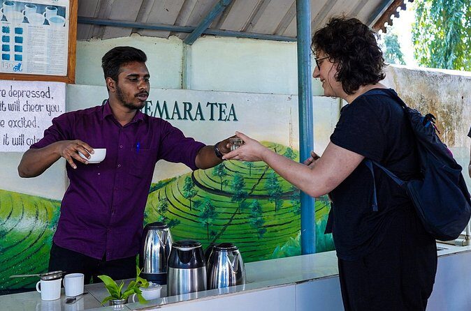 Half Day Thekkady Tea Trail Tour - Final Thoughts