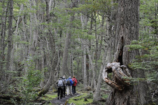 half-day-tierra-del-fuego-national-park-with-lunch-and-drinks