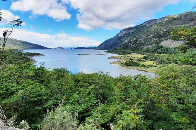 half-day-tierra-del-fuego-national-park-with-train