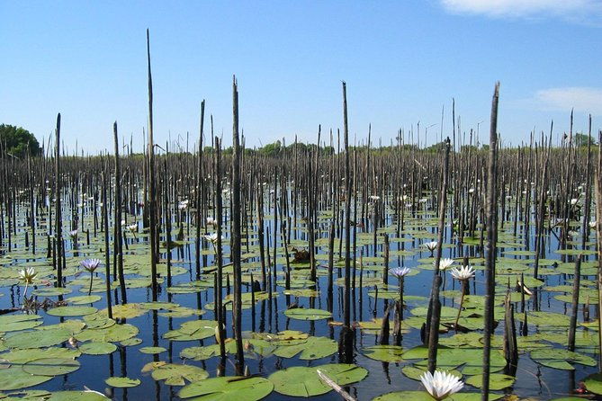 half-day-tigre-delta-tour-from-buenos-aires-including-lunch
