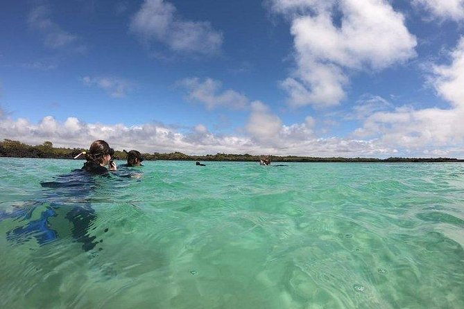 half-day-tintoreras-tour-from-isabela-island