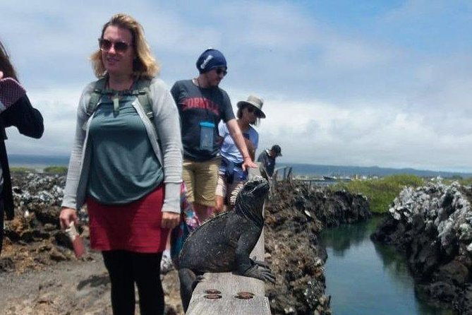 half-day-tintoreras-tour-from-isabela-island