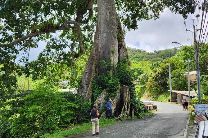 half-day-tobago-tours-with-transfers