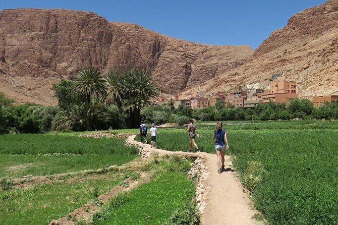 Half-Day Todra Gorges Hike - Final Thoughts