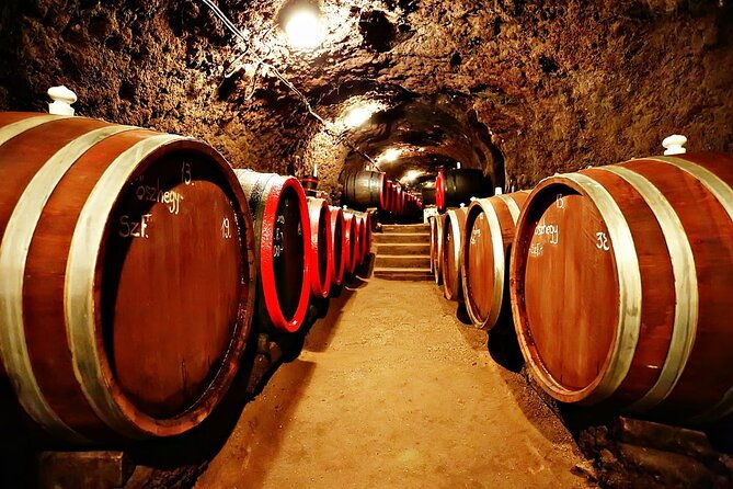 half-day-tokaj-wine-tasting-tour-in-mad-hungary-with-lunch