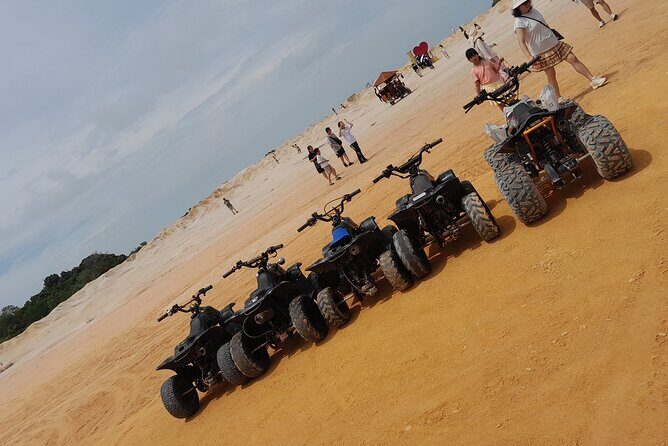 Half Day Tour 4 to 6 Hours Free and Easy - What Reviewers Say