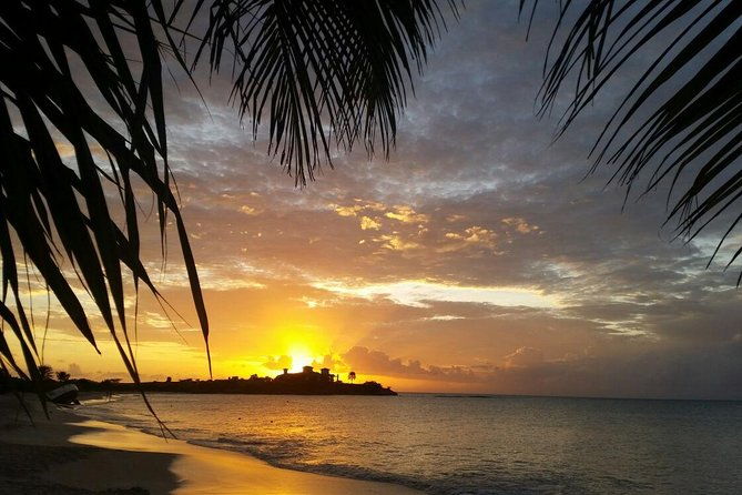 half-day-tour-a-taste-of-paradise-and-history-of-antigua