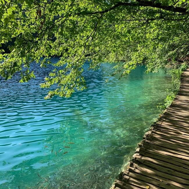Half day tour around Plitvice Lakes - The Itinerary Breakdown