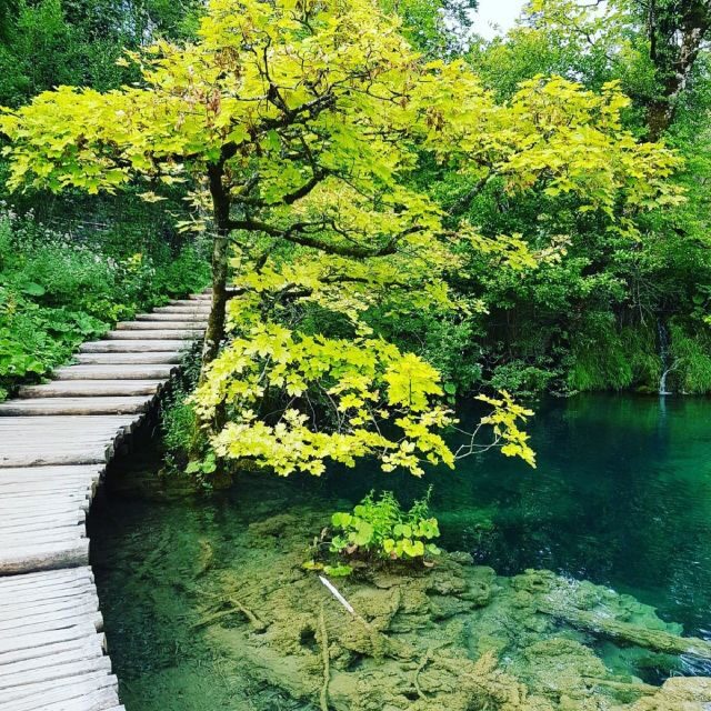 Half day tour around Plitvice Lakes - Who Would Benefit Most from This Tour?