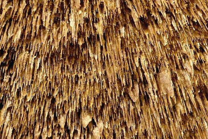 half-day-tour-bus-to-the-caves-of-drach