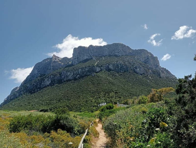 Half-day tour by dinghy in the Tavolara Marine Protected Area - Who Will Love This Tour?