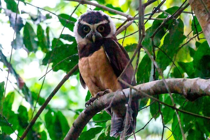 half-day-tour-churute-mangroves-and-bird-watching-from-guayaquil