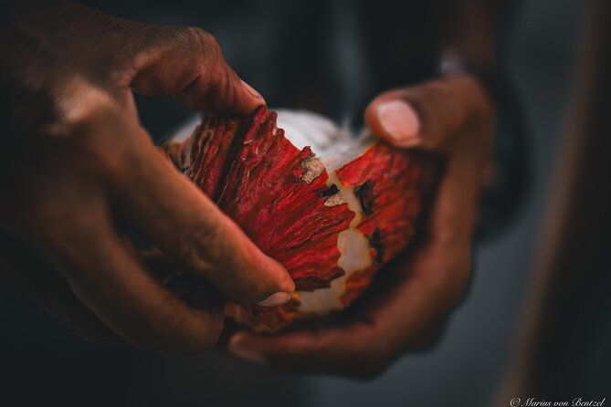 half-day-tour-cocoa-farm-fruits-and-plantations-from-guayaquil