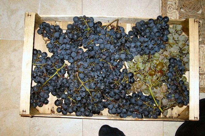 half-day-tour-deep-and-dark-red-wine-of-peljesac