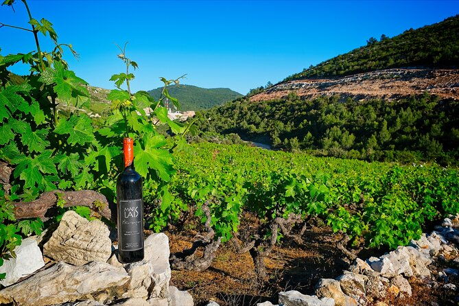 half-day-tour-deep-and-dark-red-wine-of-peljesac