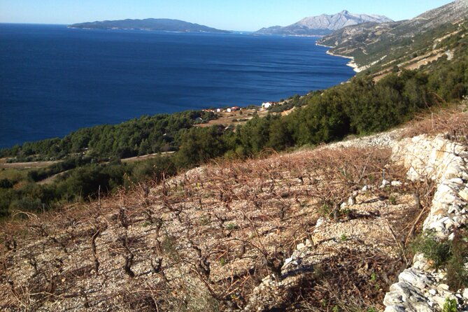 half-day-tour-deep-and-dark-red-wine-of-peljesac