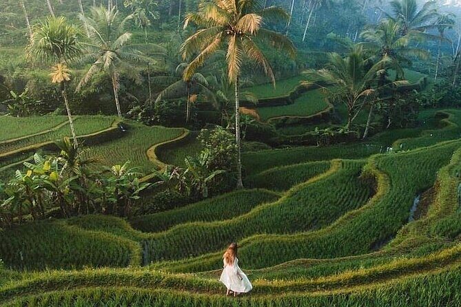 Half Day Tour: Discover Best of Ubud in 5 Hours - Exploring Bali’s Best in Just 5 Hours: A Review of the Half Day Ubud Tour