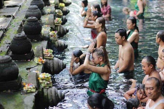 Half Day Tour: Discover Best of Ubud in 5 Hours - Who Would Love This Tour?