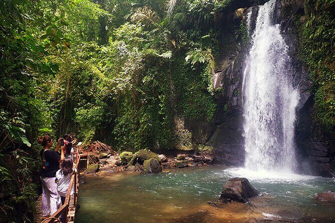 Half Day Tour: Discover Best of Ubud in 5 Hours - Final Thoughts: Is It Worth It?