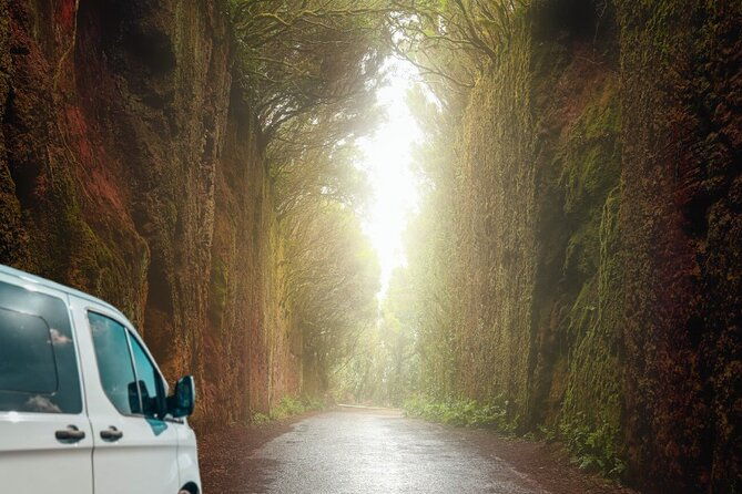 half-day-tour-discovering-anaga-tenerife