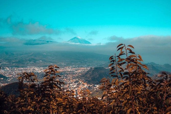 half-day-tour-discovering-anaga-tenerife