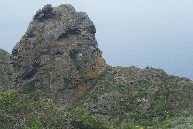 half-day-tour-discovering-anaga-tenerife