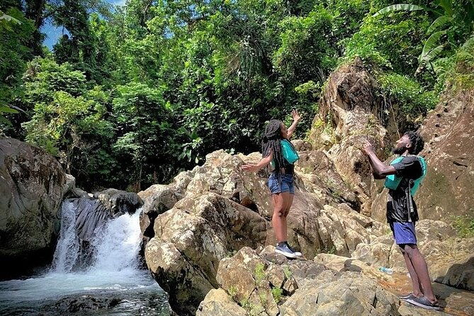 half-day-tour-el-yunque-rainforest-and-waterslide-adventure
