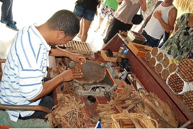 half-day-tour-exploring-punta-cana-on-safari