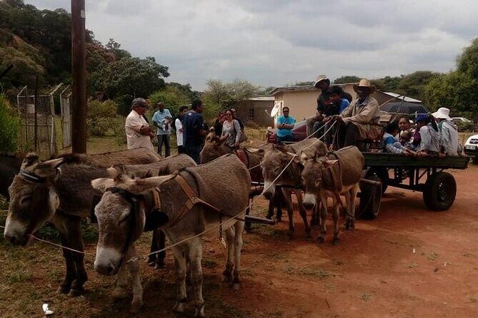 Half Day Tour from Gaborone (Manyana Village Visit) - Price and Value Analysis