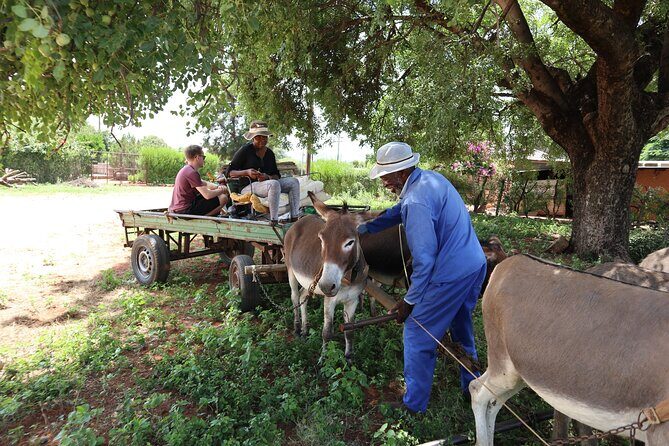 Half Day Tour from Gaborone (Manyana Village Visit) - FAQ