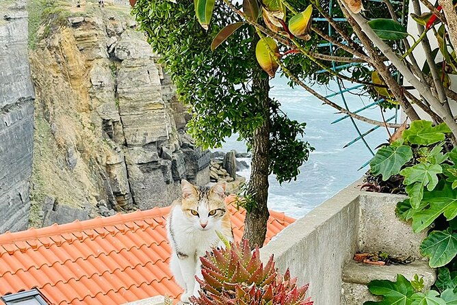 half-day-tour-in-cascais-sintra-with-brunch-and-wine-tasting