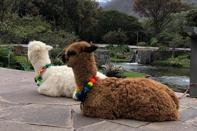 half-day-tour-in-cusco-city