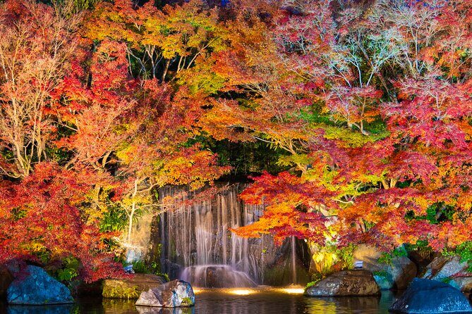 Half Day Tour in Himeji Castle and Koko-en - Frequently Asked Questions