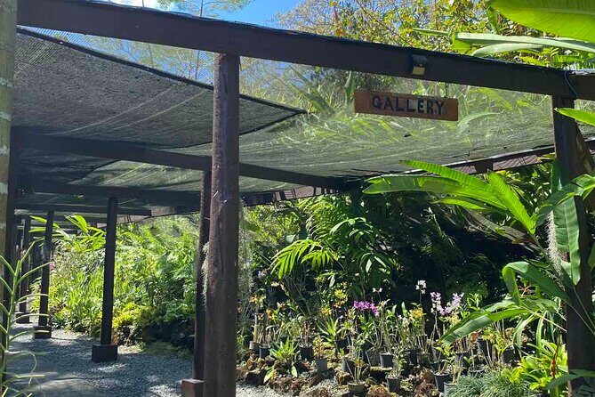 Half Day Tour in Nadi - Practical Details and Tips