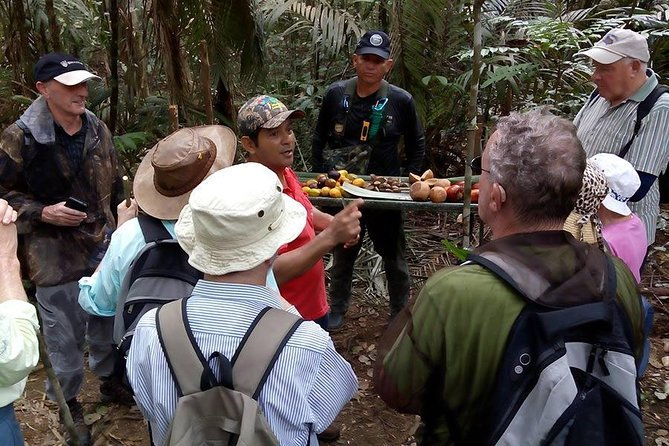 half-day-tour-jaguar-jungle-survival-amazon-rainforest-from-manaus