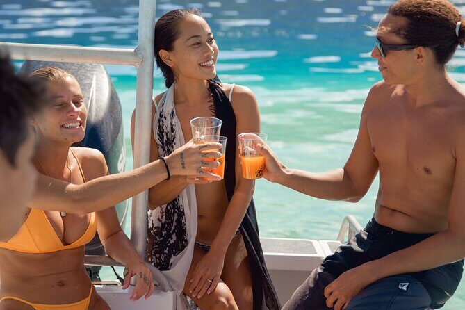 Half Day Tour lagoon discovery marine fauna flora small group - Outer Reef Drop-Off: Swimming with Sharks