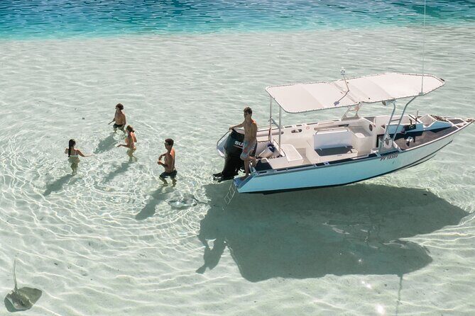 Half Day Tour lagoon discovery marine fauna flora small group - Ending the Tour