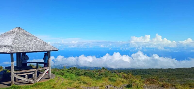 Half-day tour Maïdo with Mafate view in Réunion Island - Exploring Tamarins Forest and the Local Culture