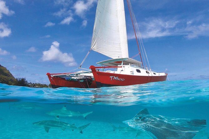 Half Day Tour : Moorea Snorkeling & Sailing on a Catamaran named Taboo - Introducing the Moorea Snorkeling & Sailing Tour on the Catamaran Taboo