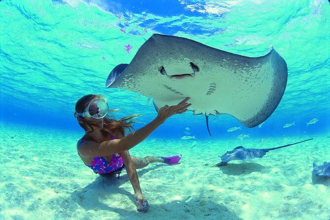 Half Day Tour : Moorea Snorkeling & Sailing on a Catamaran named Taboo - FAQ: Your Quick Guide to the Moorea Snorkeling & Sailing Tour