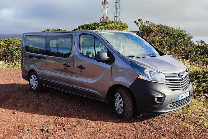 Half Day Tour  Natural Highlights of Faial Island - Key Points