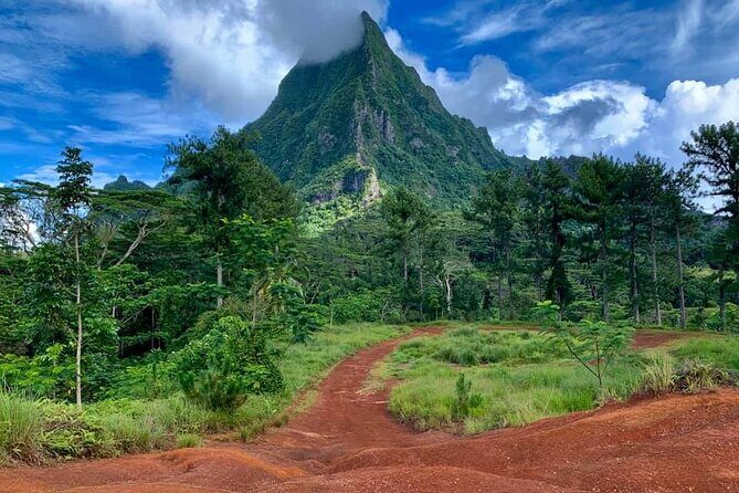 Half-Day Tour of Moorea Island in a Small Group - Transportation & Group Dynamics