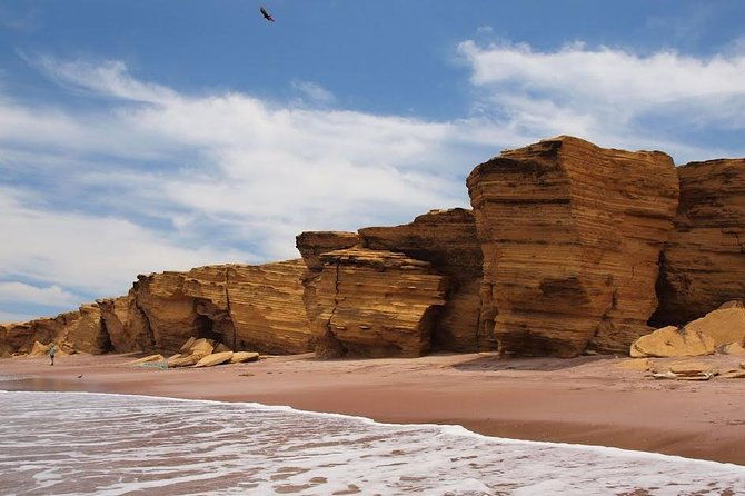 half-day-tour-of-paracas-national-reserve-from-san-martin-port