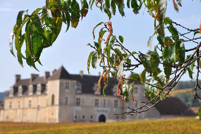 half-day-tour-of-the-cote-de-nuits-vineyards-from-dijon